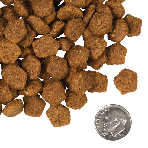 Fromm Four-Star Dry Dog Food - Duck A La Veg - 12lb Bag